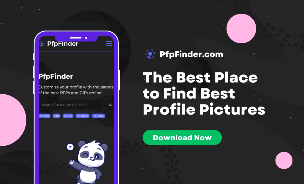 PfpFinder Banner